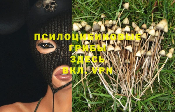 гидропоника Алзамай