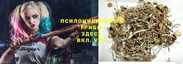 эйфоретик Алексеевка