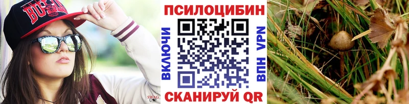Псилоцибиновые грибы MAGIC MUSHROOMS Купить закладки Жуковка
