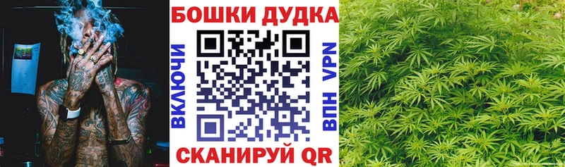 Купить закладки  Жуковка  Каннабис SATIVA & INDICA 